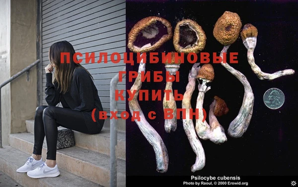 каннабис Абаза