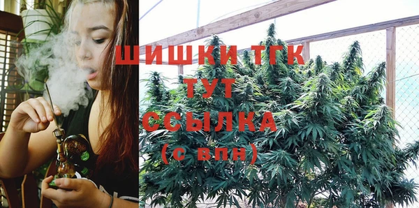 крисы Абдулино