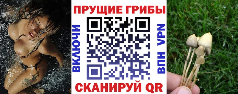 Галлюциногенные грибы MAGIC MUSHROOMS  Щёкино 